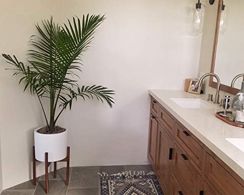 Fox & Fern Modern Plant Stand - Walnut - EXCLUDING 10" White Ceramic Plant Pot