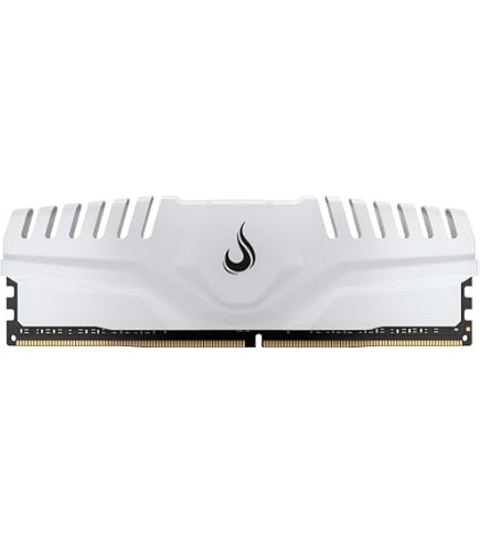 G.Skill Flare X Series 16 GB (2 x 8 GB) 288 pinos SDRAM (PC4-25600