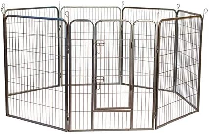 exotic animals near me