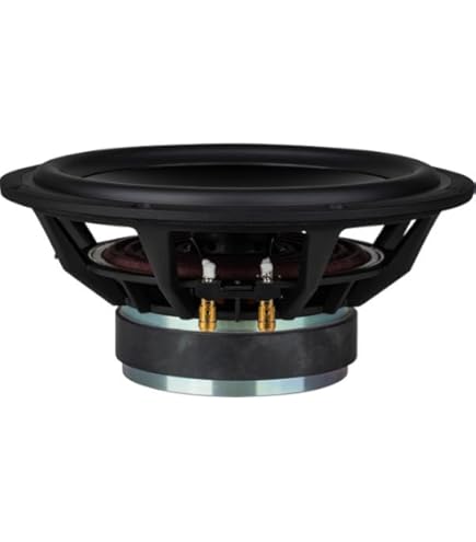 Amazon.com: Dayton Audio DSA270-8 10