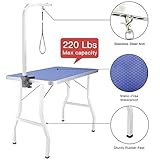 ITORI Pet Dog Grooming Table for Small Dog, Professional 32 in Foldable Portable Drying Table with Adjustable Height Arm&Noose, Maximum Capacity Up to 250lbs