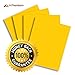 MiPremium PU Heat Transfer Vinyl, Yellow Iron On Vinyl 12