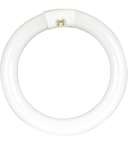 COOGGALAN 8 inch FC8T9/CW 22W Cool White Circular Fluorescent