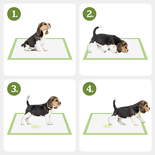 Pogi's Dog Training Pads with Adhesive Sticky Tabs (20Count) (24x24in