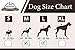 WhiteTail Naturals - Deer Antlers for Large Dogs - Long Lasting Antler Dog Chews - Crafted in USA, Naturally Shed Antler Dog Bones for Aggressive Chewers (Large (Pack of 1))