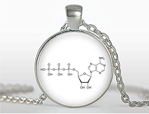 Chemistry Necklace Pendant - ATP Necklace - Biochemistry Biology Necklace Pendant