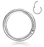 REVOLIA 14-16G Stainless Steel Nose Rings Hoop Septum Clicker Ring Hinged Seamless 8-10MM