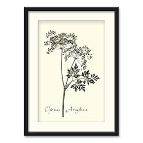 Herbs Theme Black Framed for Bedroom Livingroom