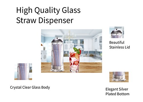 Palais Glassware Glass Straw Dispenser with Chrome Base & Cover, 11" High