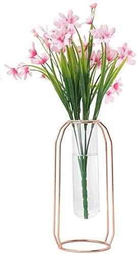 CHUTD Garden pot Ecological pot Metal frame Transparent tube Glass vase Hydroponic plant and flower Yamato decoration plastic bowl (color: pink gold, size: L)