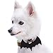 Blueberry Pet 8 Patterns Halloween Mystery Disguise Classic Designer Adjustable Dog Collar with Decoration, Medium, Neck 14.5″-20″thumb 3