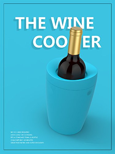 Best Small Portable Bottle Wine Cooler