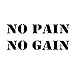 No Pain No Gain Exercise Workout Gym Health and Fitness Vinyl Lettering Wall Art Quotes Wall Decal