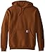 Carhartt Men's Midweight Signature Sleeve Logo Hooded Sweatshirt