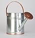 PANACEA PRODUCTS 84895 Panacea-84895, Silver/Copper