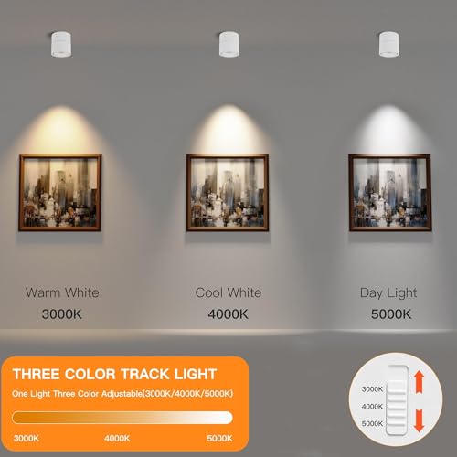 Adjustable LED Spotlight for Indoor - Dimmable 10W Ceiling Light Fixture with 3 Color Temperatures (3000K/4000K/5000K), High CRI93 for Living Rooms, Hallways, Galleries, 1200 Lumens - White-3CCT
