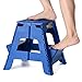 Acko 2-in-1 Dual Purpose Folding Step Stool Two Step Ladder Durable Plastic Folding Stool with Pedal Easy Storage 15 Inches Height 300 lbs Capability Blue