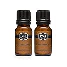 Cinnamon Fragrance Oil - Premium Grade Scented Oil - 10ml - 2-Pack