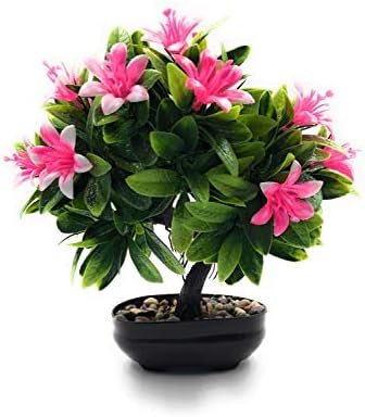 24x7eMall PVC Bonsai Artificial Dwarf Tree Plants with Pot and Grass for Home Decor with Realistic Detailing Size 25 x 25 cm (Pink)