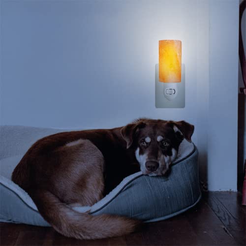 Nevlers 2 Pk Himalayan Salt Lamp Night Light Plug in Authentic 5.5