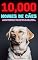 Livro 10,000 Nomes de cães – O livro para nomes de cães populares, de todo o mundo – Encontre o nome certo, para seu cão! (Portuguese Edition)
