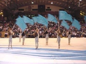 100 X 100 20 Oz Vinyl Gym Floor Tarp Black Black Winter Guard