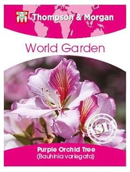 Thompson Et Morganmonde De Jardinfleursviolet