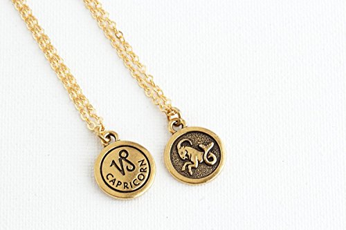 Personalized Zodiac Sign Astrology Necklace Aquarius Pisces Aries