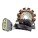 Generator Stator Fits Yamaha FZ1 / FZ8 / YZF R1 2004-2015 | OEM Repl.# 2D1-81410-01-00 / 5VY-81410-00-00 / 2D1-81410-10-00 / 2D1-81410-00-00