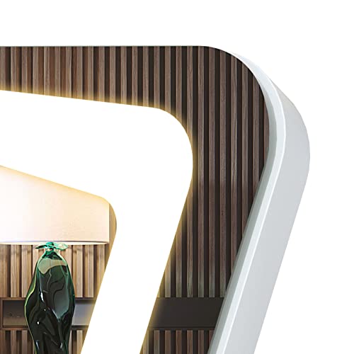 BARMI 63"x20" Full Length Mirror with Lights,LED Free Standing Floor