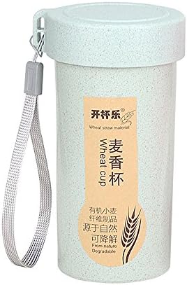 Houystory bottle Water Bottle, 350ml Nature Wheat Straw Portable Water Bottle Drink Container Cup Mug, No Leak,Reusable with Leak-proof Lid, outdoors and camping