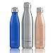 Ezisoul Insulated Stainless Steel Sports Water Bottle - No Leaks, Sweating or Toxins - Brushed Stainless Steel - 25oz