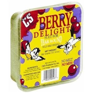C&S Berry Delight No-Melt Suet Dough 11.75oz