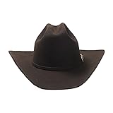 Stetson Men's 6X Skyline Hat, Chocalate, Size 7 5/8