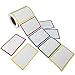 SUNHE 300pcs Plain Name Tag Labels Colorful Border Name Tag Stickers, 3.5