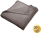 Pinzon Velvet Plush Blanket - Full/Queen, Grey