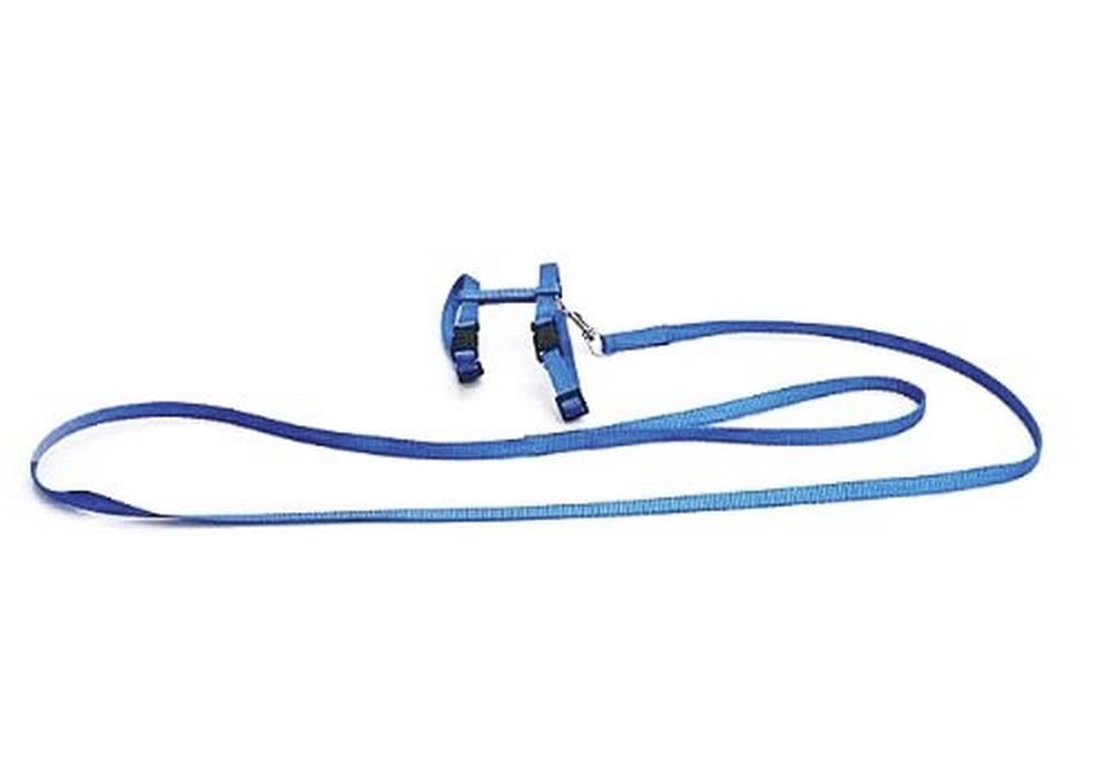 Karlie Art Sportiv Nylon Harness with Lead, 10 mm Harness/ 140 cm Lead, Blue