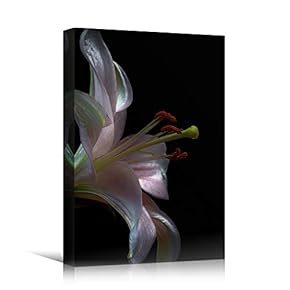 signwin Canvas Wall Art Pink Flower Portraiture Colorful...