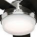 Hunter Fan Avia 54” Ceiling Fan with Burnt Walnut/Autumn Walnut Reversible Blades