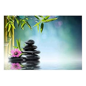 Rocks and a Pink Flower on a Lake Next to Bamboo Branches - Wall Mural, Removable Sticker, Home Decor - 66x96 inches