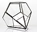 NCYP Mini Wall Hanging Glass Terrarium, 4.5 x 4.5 x 5.3 inches Diamond Shape Geometric Terrarium for Succulent Plant, Desktop Decor, Mini Centerpiece, Modern (Plants Not Included)