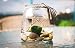 Hinterland Trading Live Aquatic Marimo Moss Ball Plant Pet Glass Aquarium Kit