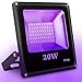 UV Black Light, SOLMORE 30W 60 LEDs Flood Light Party Lights Waterproof Blacklight for Party Supplies DJ Disco Night Clubs Birthday Wedding Stage Lighting Glow in the Dark AC100-240V