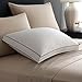 Pacific Coast Double DownAround Firm Pillow 300 Thread Count 550 Fill Power Down & Resilia Feathers - Standard