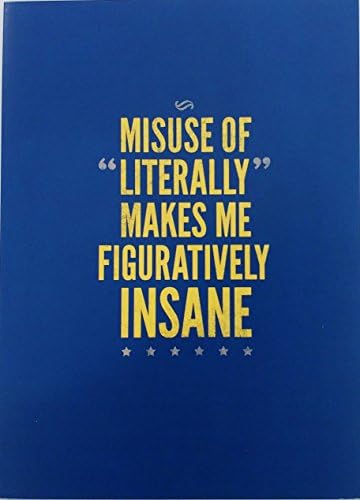 SnorgCards "Misuse of Literally Makes Me Figuratively Insane" Happy Birthday Greeting Card - Funny / Humor