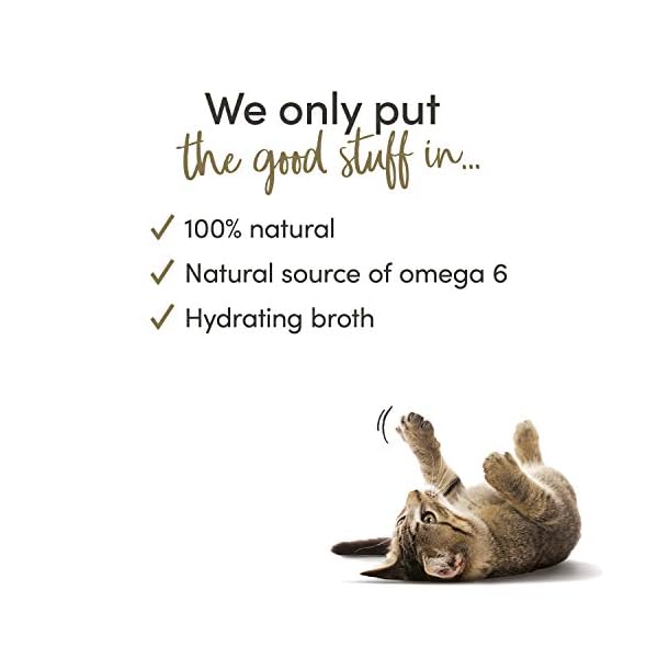 Applaws Natural Wet Cat Food Tin, Chicken Multipack Selection in Broth 70g (Pack of 12 x 70g Tins)