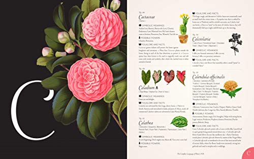 The Complete Language of Flowers: A Definitive and Illustrated History (Complete Illustrated Encyclopedia)