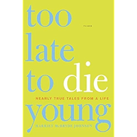 Too Late to Die Young: Nearly True Tales from a Life book cover