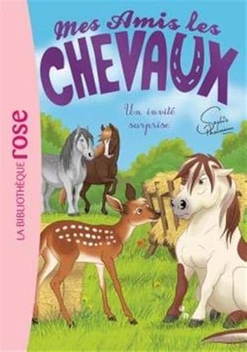 Download Mes Amis les chevaux 28 - Un invité surprise PDF