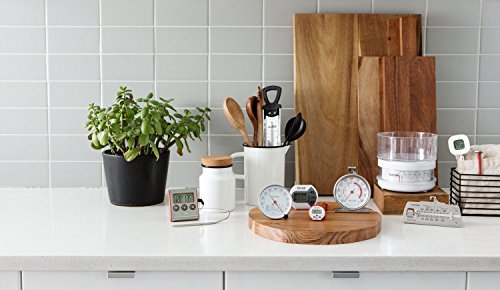 Taylor Precision Products Digital Minute/Second Timer